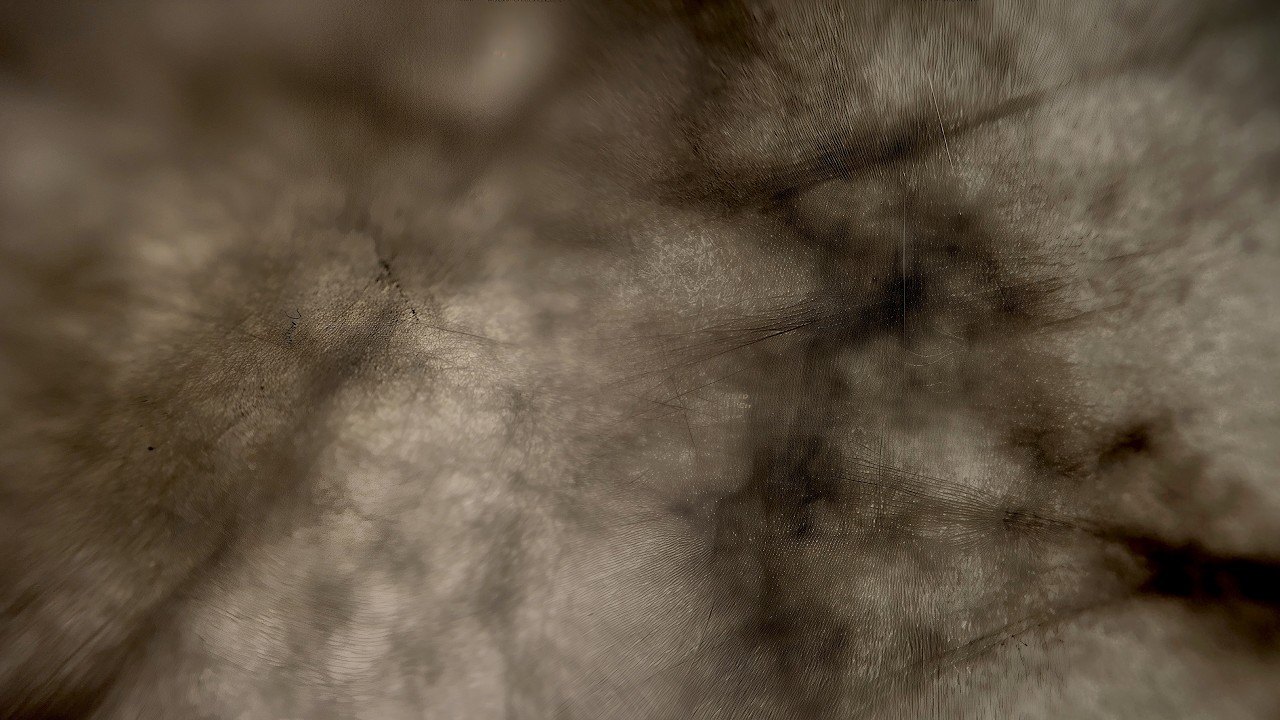 Extravaganza - immagine 1